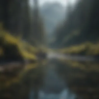 Alaskan resident fishing in remote stream