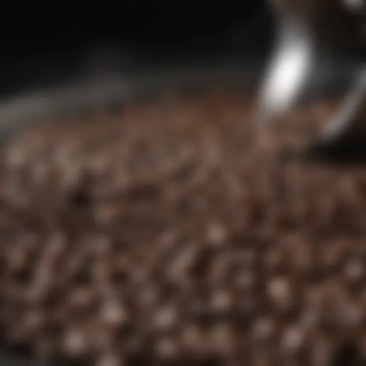 Coffee beans in a sophisticated roasting process