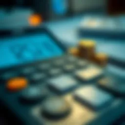 Detailed representation of a loan investment calculator interface