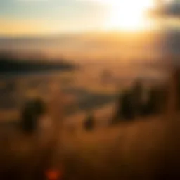 Scenic view of Idaho County landscape highlighting real estate opportunities