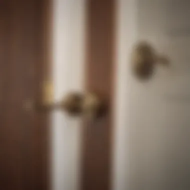 Key unlocking a door showcasing access to home equity