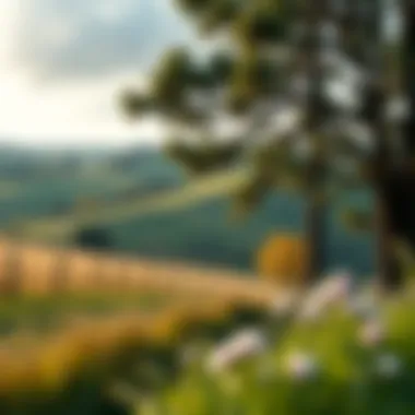 Serene Countryside Landscape Serene countryside landscape showcasing quality of life