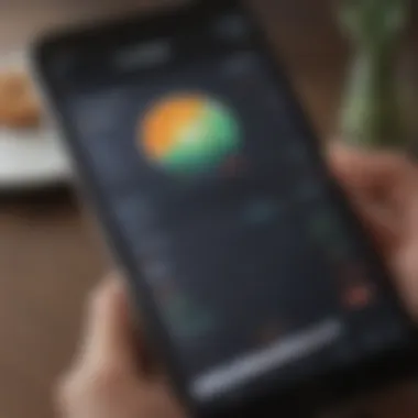 Sleek and Intuitive App Interface User-friendly interface of a popular budgeting app
