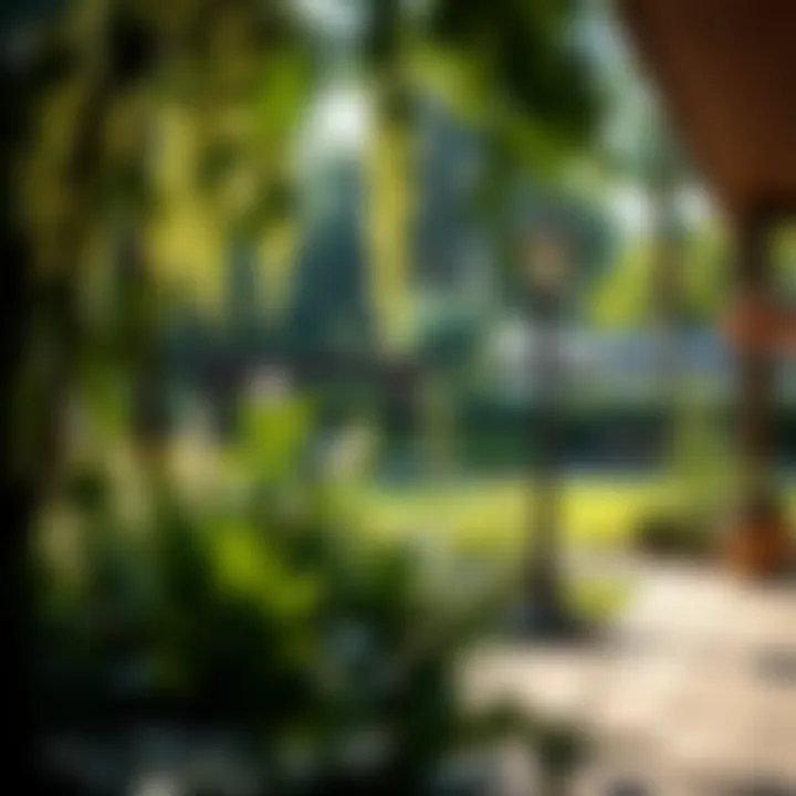 Outdoor space with a well-maintained garden