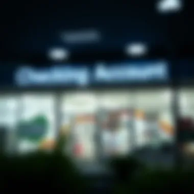 Illustration of a second chance checking account overview