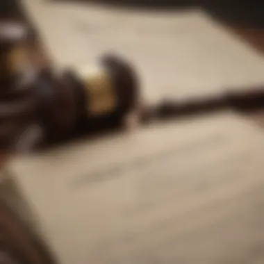 A close-up of legal texts and a gavel