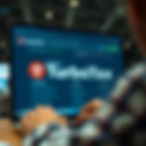 Visual representation of TurboTax interface for tax filing