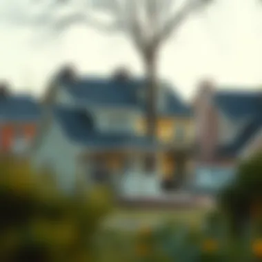 Navigating Subprime Mortgages: Effective Strategies for Borrowers Strategies for managing subprime mortgages