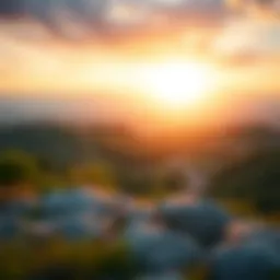 A serene landscape symbolizing financial growth