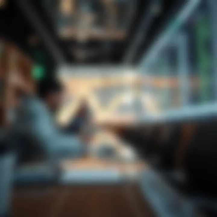 Investment Strategy Insights for VFINX Investment Strategy Insights