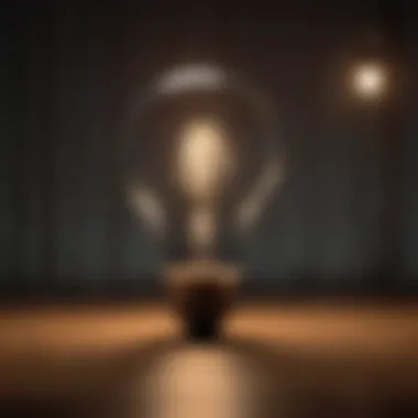 Successful financial path illuminated with light bulb